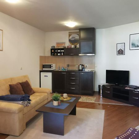 Sunny Studio Apartment - Few Steps From Gondola Bansko Eksteriør billede