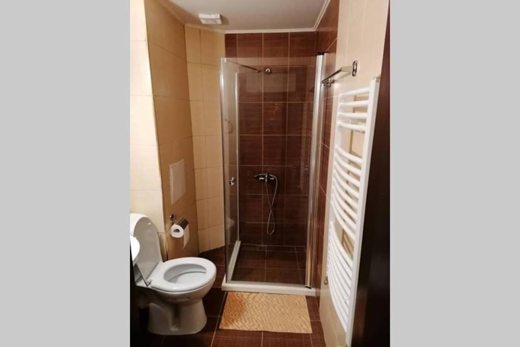 Sunny Studio Apartment - Few Steps From Gondola Bansko Eksteriør billede