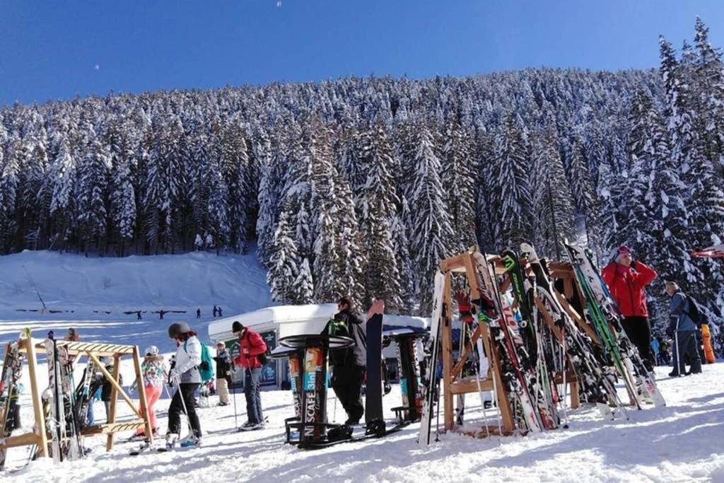 Sunny Studio Apartment - Few Steps From Gondola Bansko Eksteriør billede