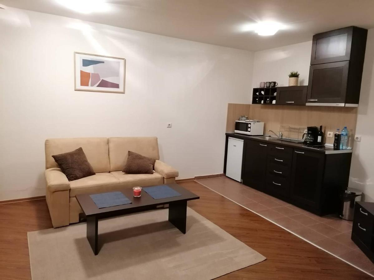 Sunny Studio Apartment - Few Steps From Gondola Bansko Eksteriør billede