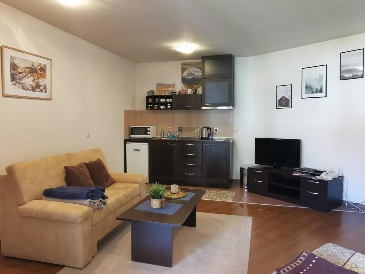 Sunny Studio Apartment - Few Steps From Gondola Bansko Eksteriør billede