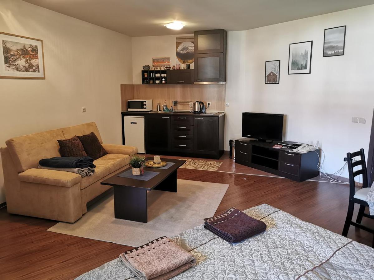 Sunny Studio Apartment - Few Steps From Gondola Bansko Eksteriør billede